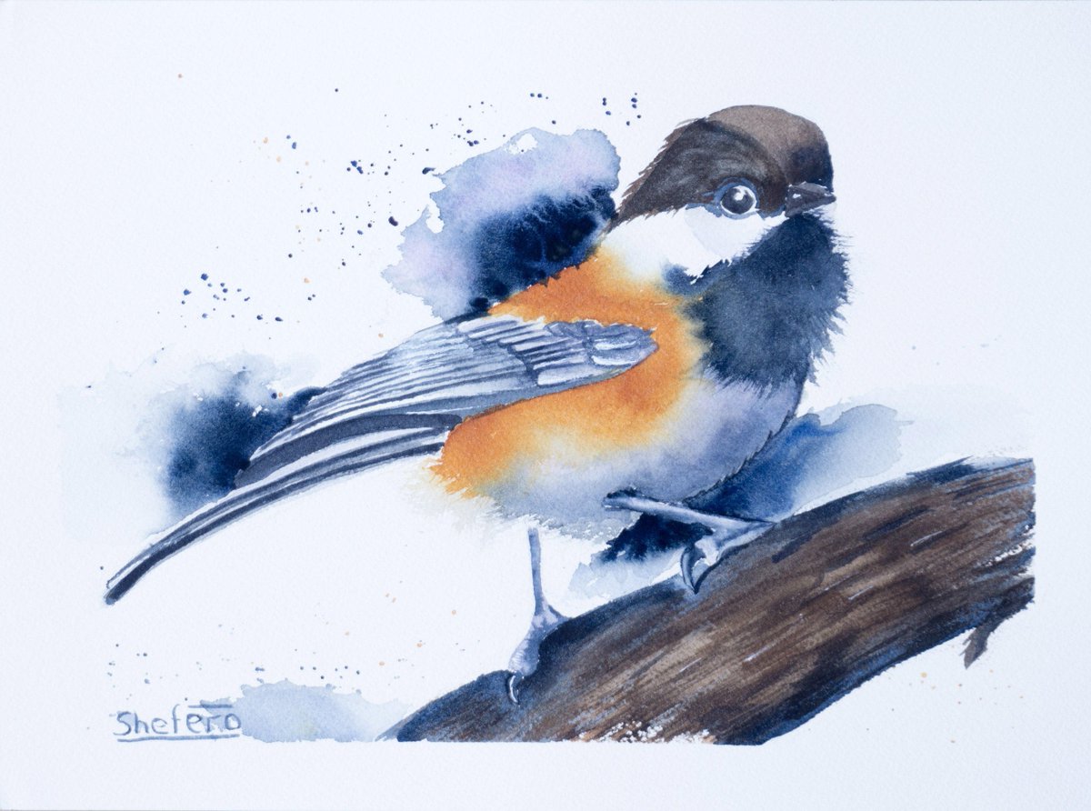 Excited to share the latest addition to my #etsy shop: Chickadee Bird ORIGINAL Watercolor Painting Wall decor Nature inspired lover gift Watercolour Art Chickadee etsy.me/2Cq9ayM #art #painting #blue #birthday #orange #chickadeebird #originalwatercolor #watercol