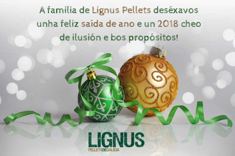 LignusPellets's tweet photo. O equipo de #LignusPellets deséxavos unha feliz saída de ano e un próspero 2018! ✨2⃣0⃣1⃣8⃣✨🍾🍇🎉💃🕺🏽💫 https://t.co/fw4v3MeJgA