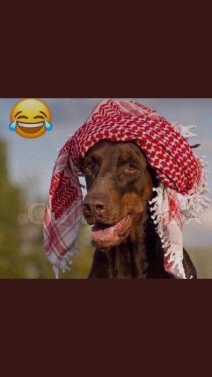 majedhalanzi_q8's tweet photo. @ALMRISEUL @3issaqtr عبدالعزيز اتبرع بكرتون كلينكس عشان تنظف وجهك 🔴والجائزه الثانيه مني للكل شنو الفرق بين الصورتين هم عشره 🔴😂🤣🤣🤣🤣🤣😂😂🤣🤣🤣🤣🤣🤣 https://t.co/wJ5ZzAOZ9Z