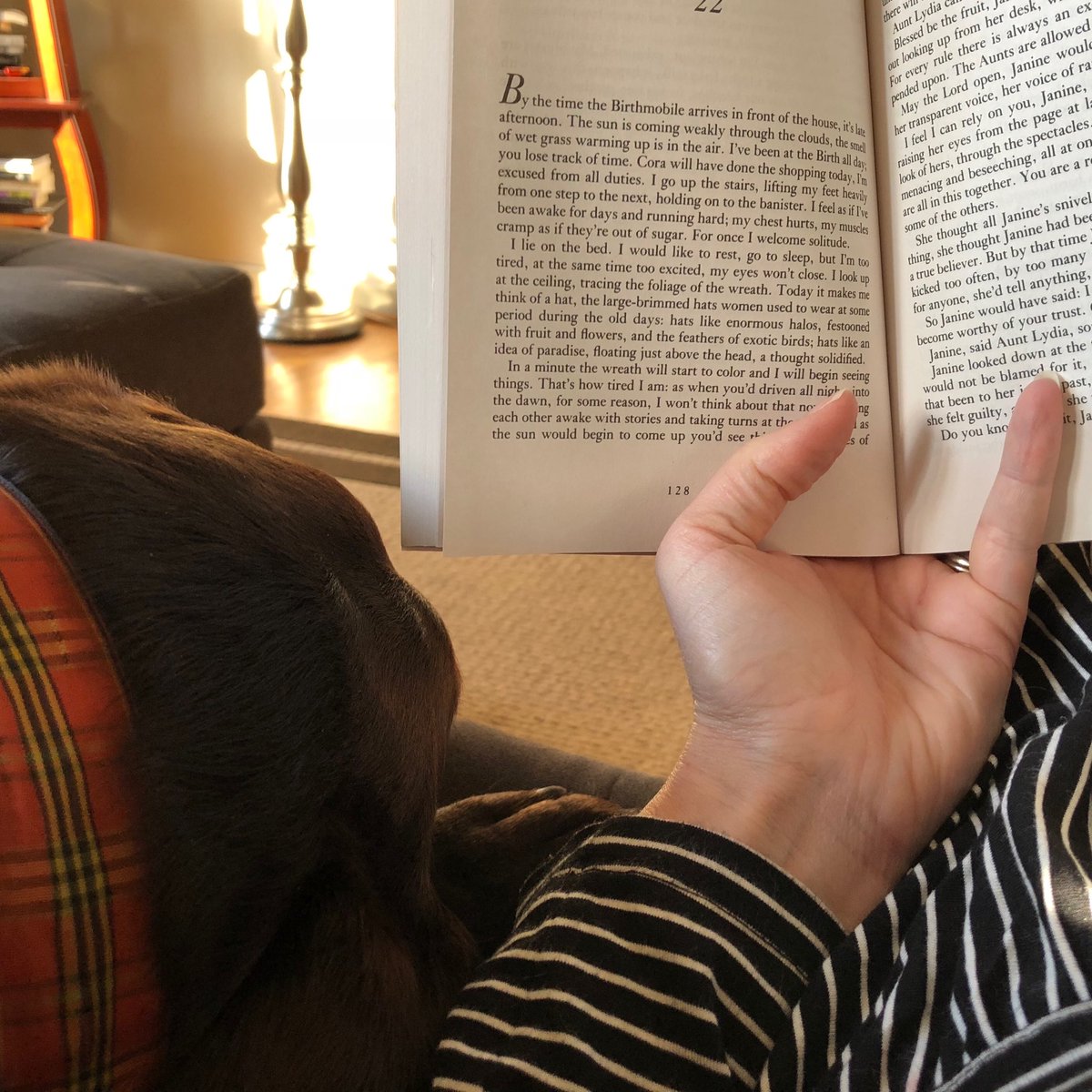 Afternoon snuggles with Murphy and finishing my last book of the #ewdbookchallenge 📚