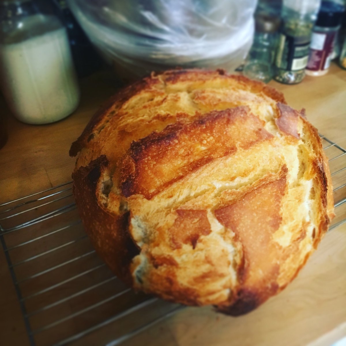 ZappeAnika's tweet photo. Sourdough evolution #homemadebread #sourdough #sourdoughbread #slowfood #bakingbread #ilovebread #homemadesourdough #learningtobake https://t.co/K31OUSxq3T