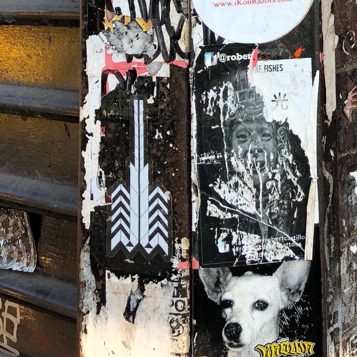 trüFORMAT tweet media