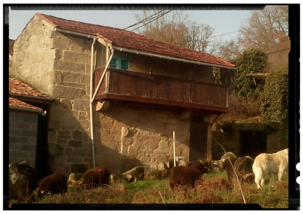 Casa tradicional labrega dunha aldea da bisbarra da Limia sen modificación alguna dende a sua construccion,ten una porta carral cara o camiño. Poucas quedan tan ben conservadas!!