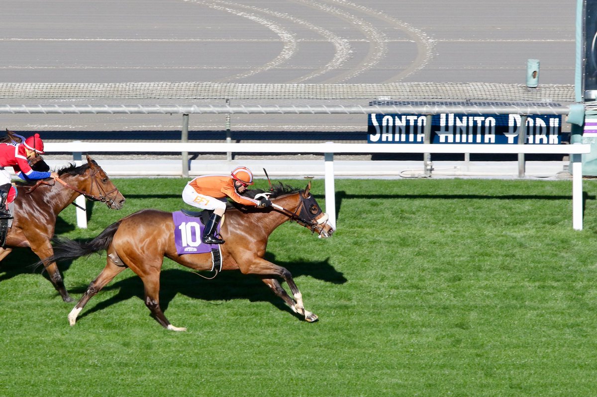cgainesracing's tweet photo. Congratulations to @keithbrackpool on a MSW win today in the 3rd at Santa Anita  down the hill with homebred Mesut!! 🎉 https://t.co/ZurrudH4S9