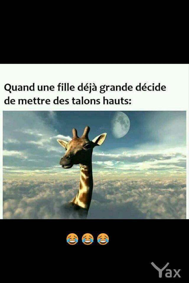 VINCENTSKYROCK's tweet photo. En galère avec les mecs parce que... trop belle 💄💋Amina du 78 dans la #RadioLibreDeDifool https://t.co/C9wVM29Eo9