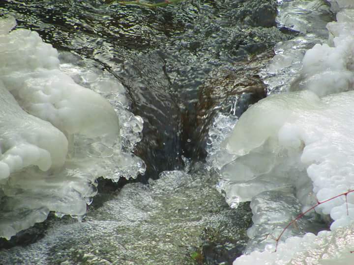 RMT Photography tweet media