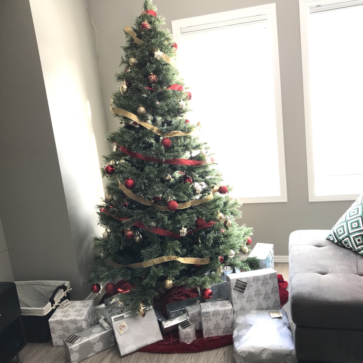 MsCrossPE's tweet photo. Holiday break is going by wayyyy to fast... so a little throwback to our cute Christmas tree https://t.co/AsRs5rxeaT