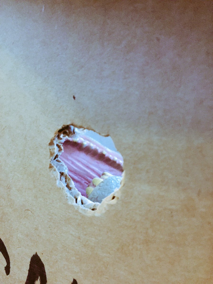 HD_Rex_2729's tweet photo. MUCH EARLIER TODAY: hey! What's going on here! Where are we going??? #TrappedDino #TheresNotEnoughAirHoles #IThoughtWeWereFriends https://t.co/qK9pgrNjey