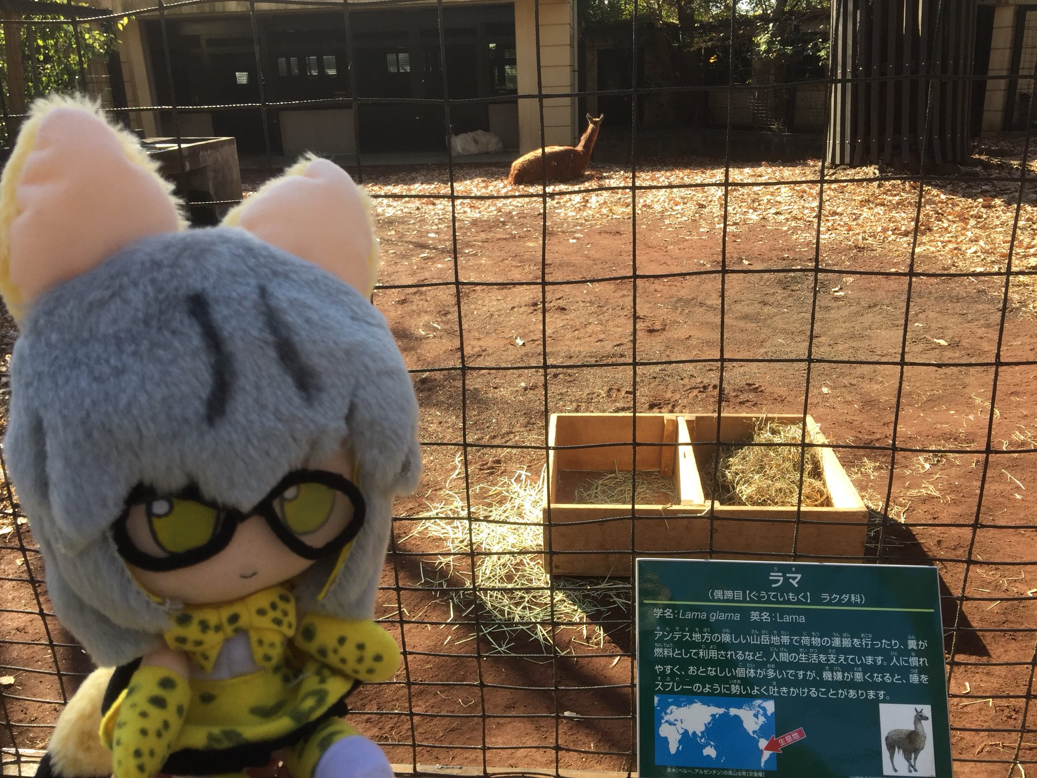 けもフレアニメ解説登場施設全聖地巡礼録 Twitter