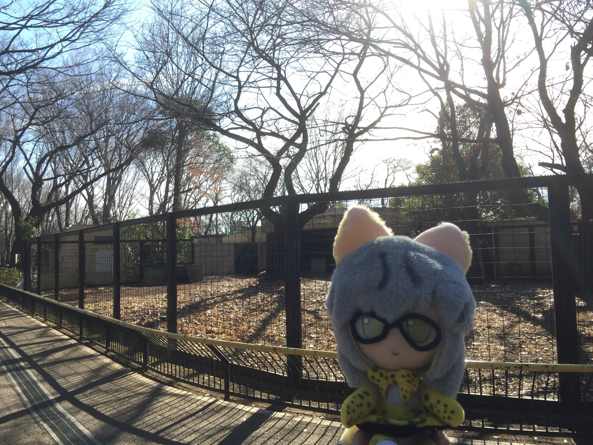 けもフレアニメ解説登場施設全聖地巡礼録 Twitter