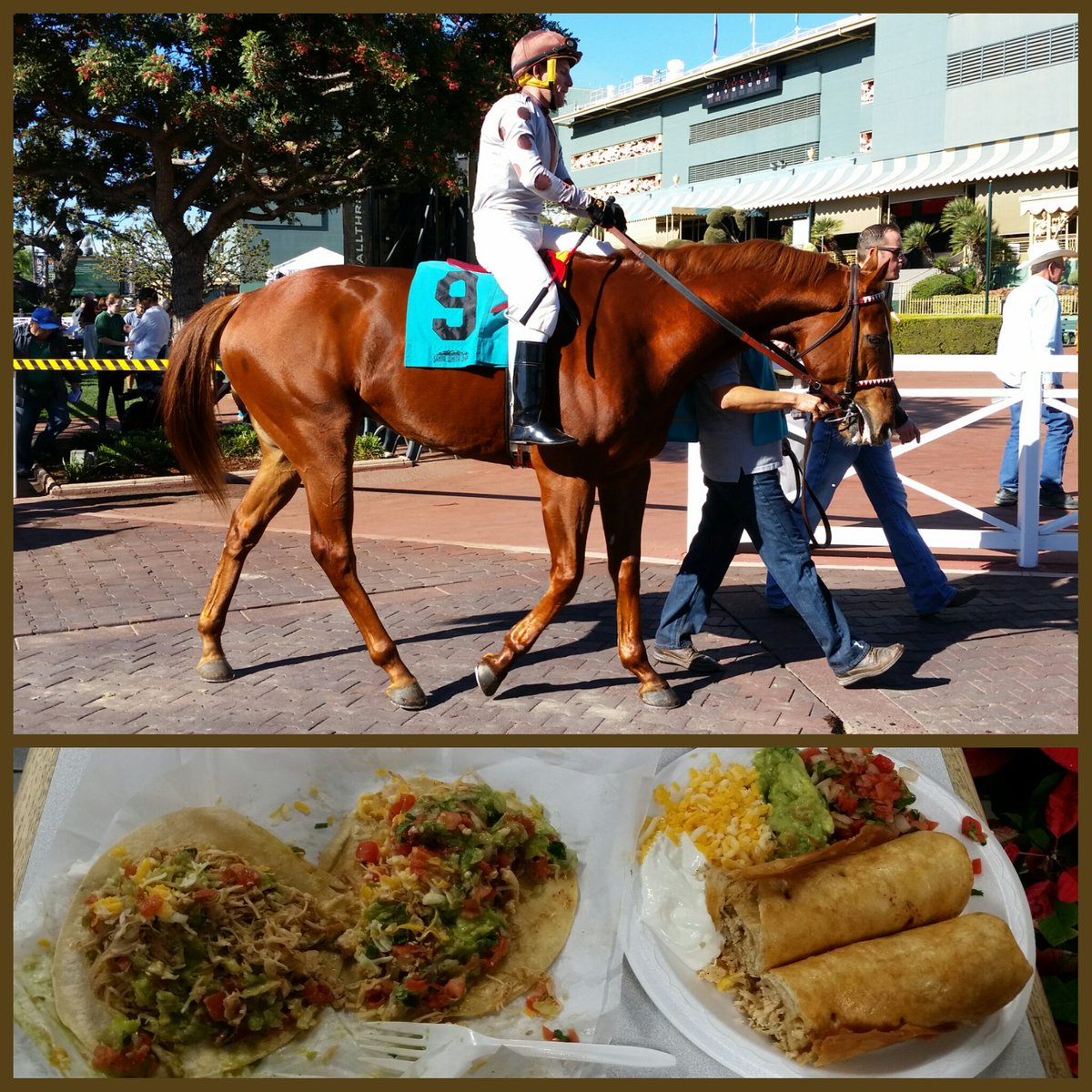 JPrusia's tweet photo. It's not Tuesday, but we had to go get tacos after watching Taco Tuesday race earlier today!
#SantaAnita #SantaAnitaPark #TheGreatRacePlace #ArcadiaCalifornia #HorseRacing #Thoroughbreds #WinterMeet #SantiagoGonzalez #ElCiclón #JamesCassidy #DPRacing #Tacos #Flautas #Pepes https://t.co/4WiVeDhEUE