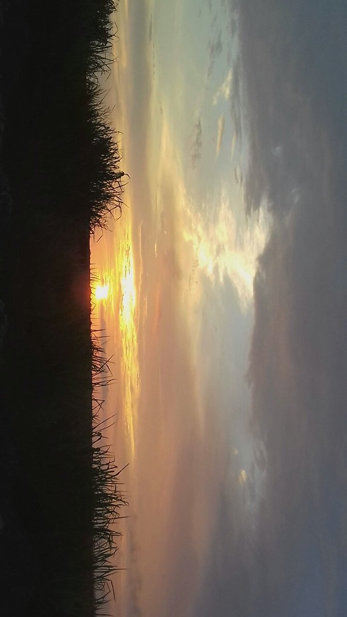 Tumblr1996dye's tweet image. 