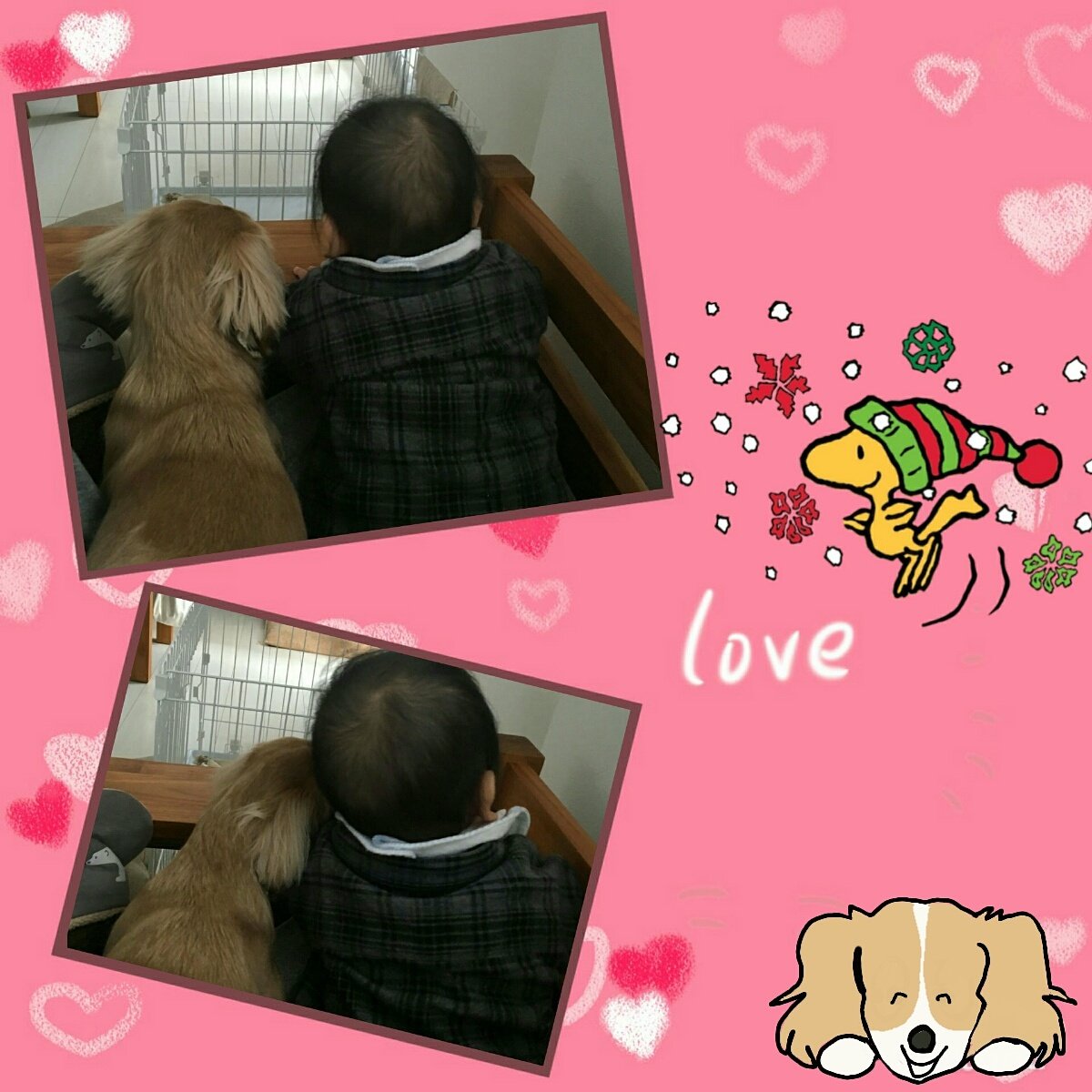 タケゾウとハル君💕