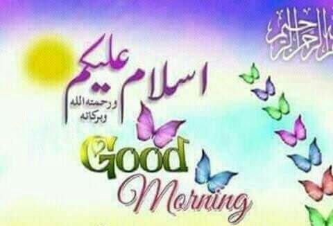 GulFahim2's tweet photo. https://t.co/fA12lap5w6
