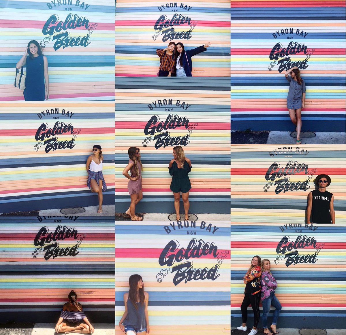 Golden Breed Surf tweet media