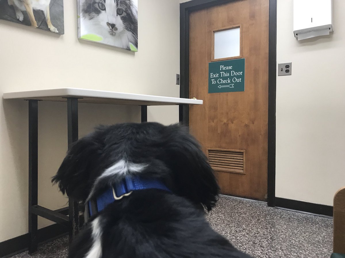 Willie Woo tweet media