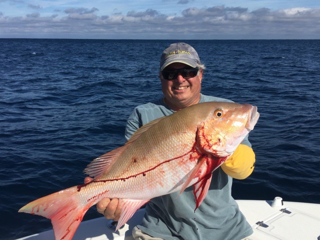 CardellaMatt's tweet photo. @Lane_Kiffin @SaltRockG @espn @BabeWinkelman Best think about fishing in S.EAST FL is that after chasing sailfish you can catch a QUALITY fish for dinner.  Stay Local #CaptNick https://t.co/4ZNpAgrwOD