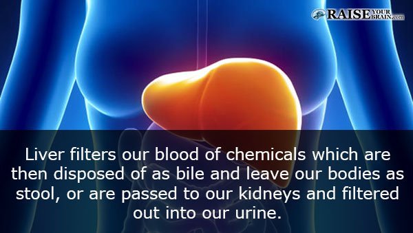 Almost the new year, hold steady old friend. #liver #massave #brokenbeakerdistillery