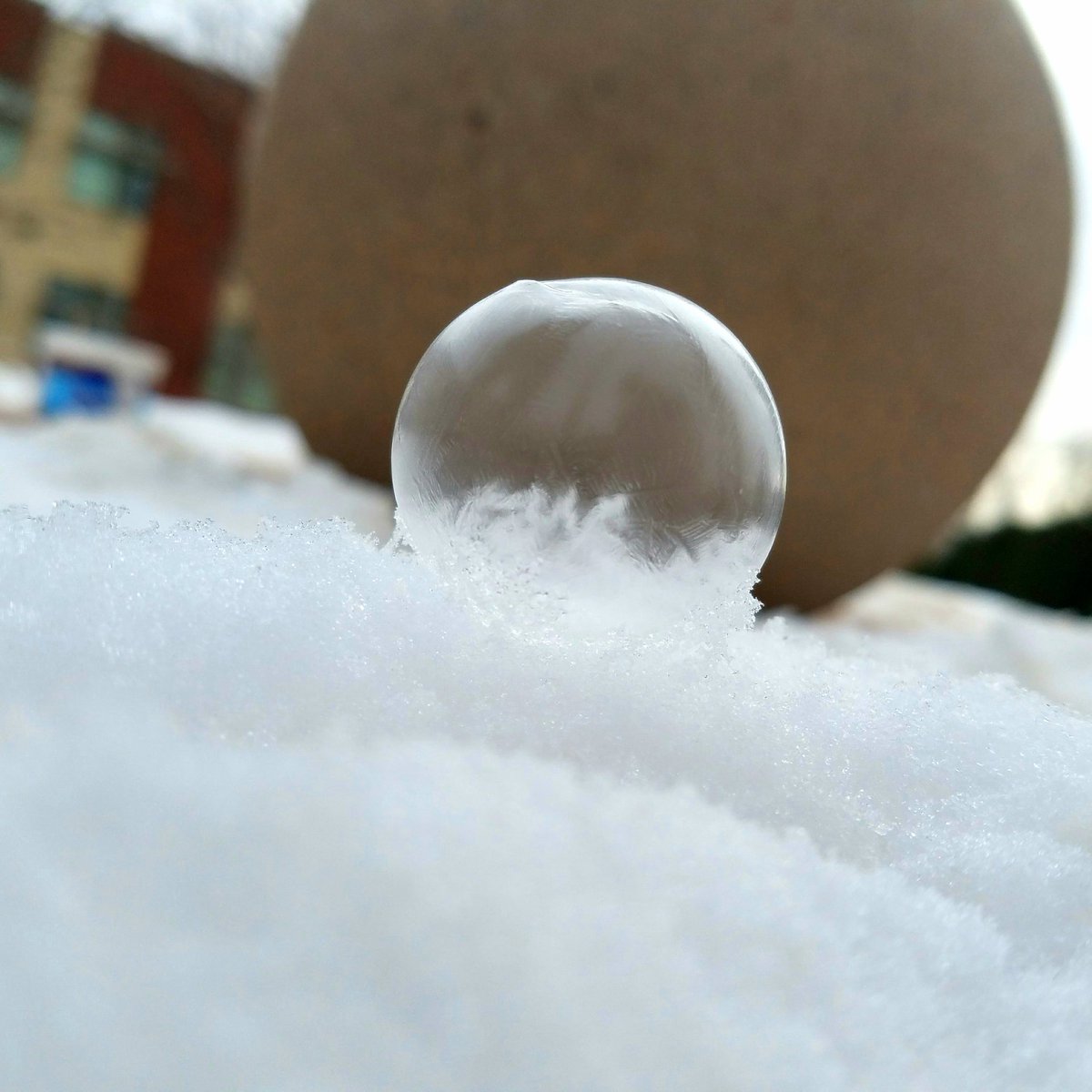 NECMakerspace's tweet photo. @bradenanne @MelisBrand We did! Last year when it dropped well below zero. Also, did some studying of the mpemba effect. #beentheredonethat #bragging https://t.co/8iy7tnQz3s