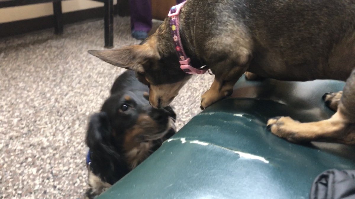 Willie Woo tweet media