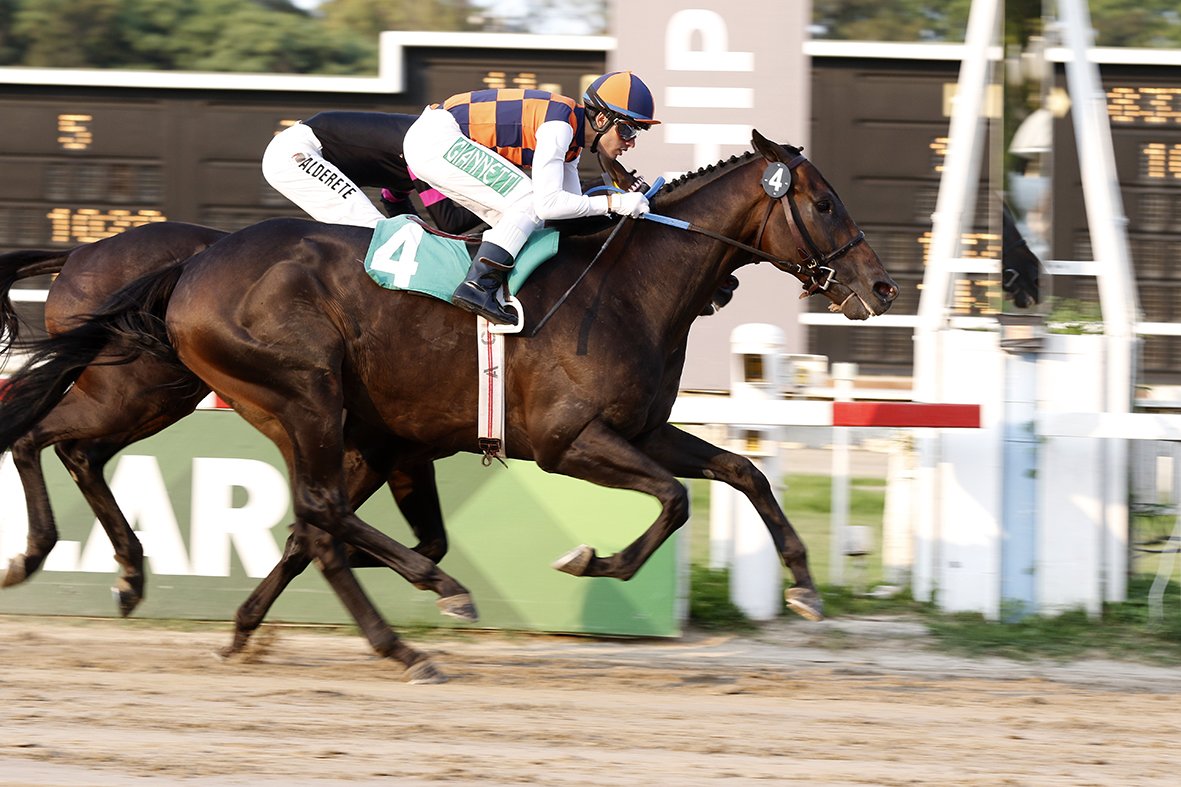 Frazier Horse Pedigree