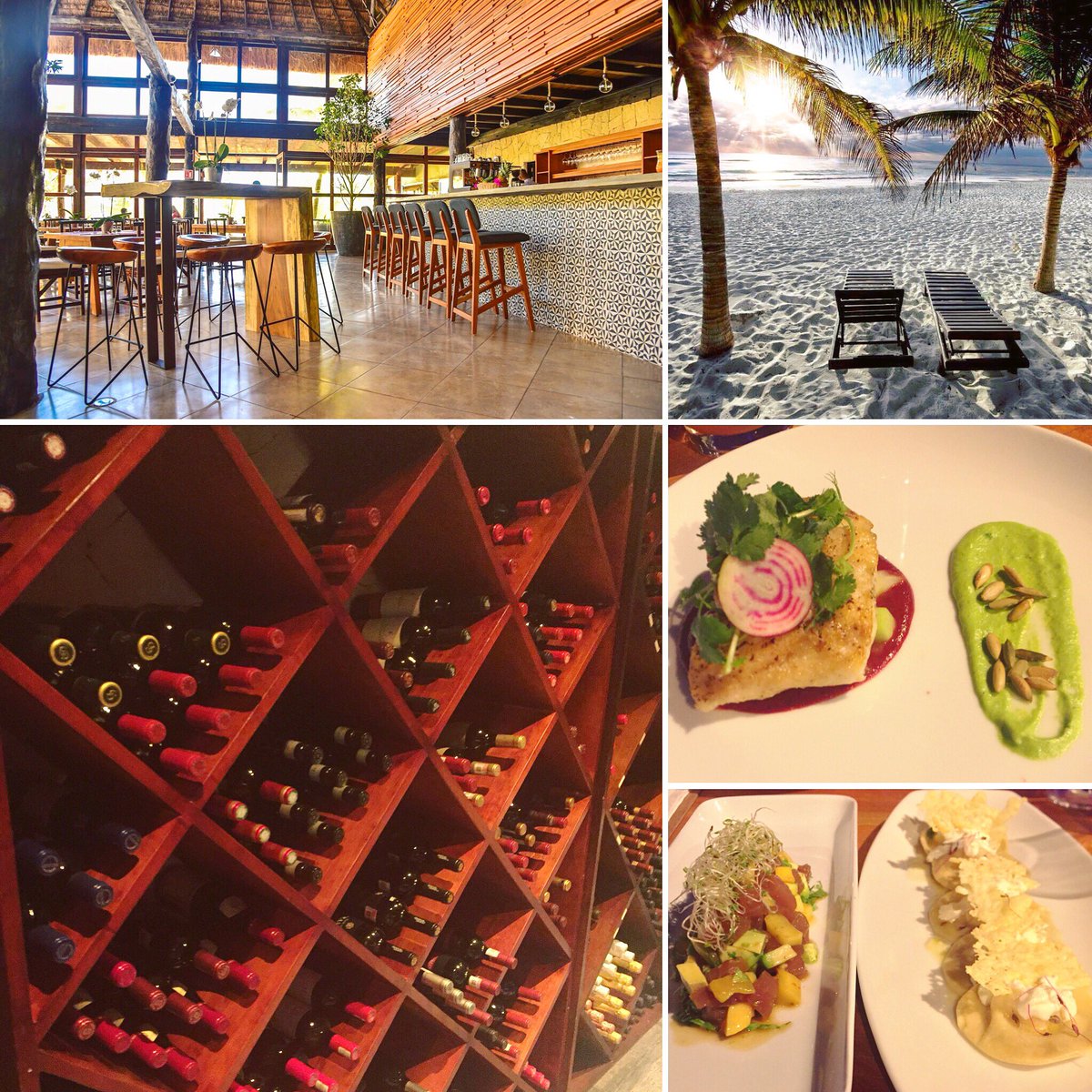 TulumFood's tweet image. New restaurant on TulumFood 🍴
Mia Restaurant &amp;amp; Beach Club🍷
If you are a wine lover, they have a very good selection with more than 200 bottles  from around the world (red, white, champagne, rosé) 🥂
You can eat there for lunch and dinner
Link TulumFood: tulumfood.com/restaurants/mi…