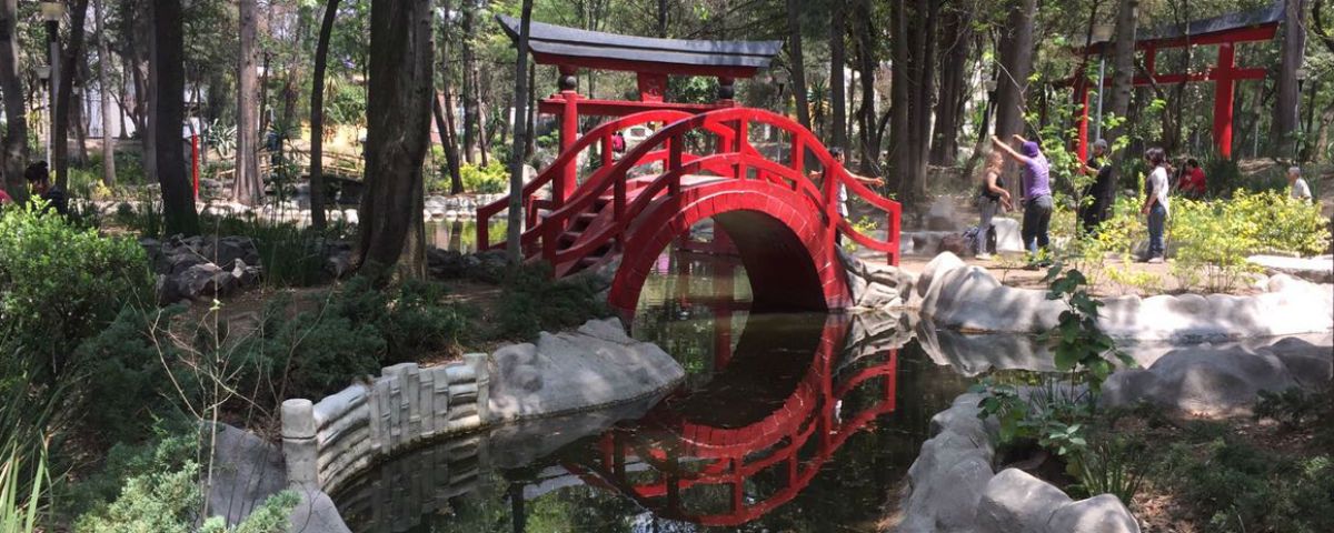 mexdesconocido's tweet photo. El bello parque japonés escondido en la Ciudad de México - https://t.co/WpMlRCUlKH              b https://t.co/ZGpjp0vygp