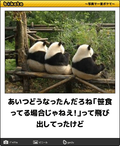 反発 ガソリン 有利 パンダ 笹 食っ てる 場合 じゃ ねぇ Cafeniche Jp