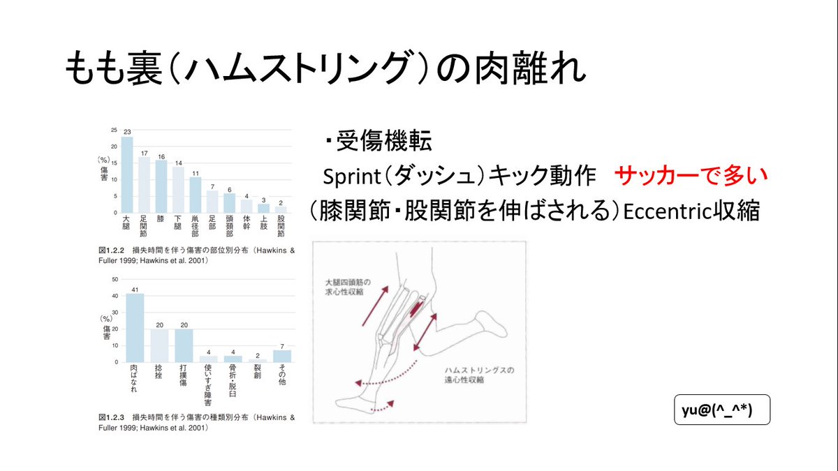 Uzivatel Yu Na Twitteru ももうらの肉離れのお話 肉離れ はサッカーで多い怪我で 理由が受傷機転がサッカーに多い動作だからです Eccentric収縮で肉離れが起き ハムストリングは身体のなかで1番肉離れ しやすい筋肉です 肉離れは2枚のような要因があります