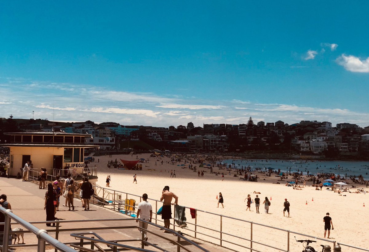 thisisblow's tweet image. #EvilShadow #BondiBeach