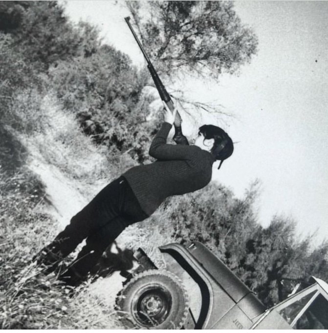 Ver imagen en Twitter Ver imagen en Twitter