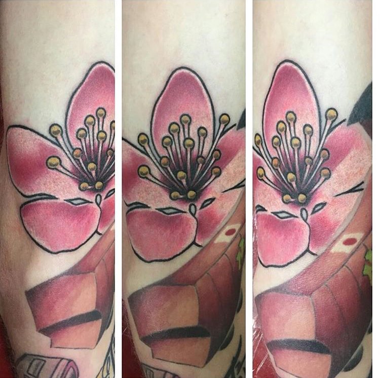 Dark Age Tattoo on Twitter "Small cherry blossom tattoo by Brad Reed