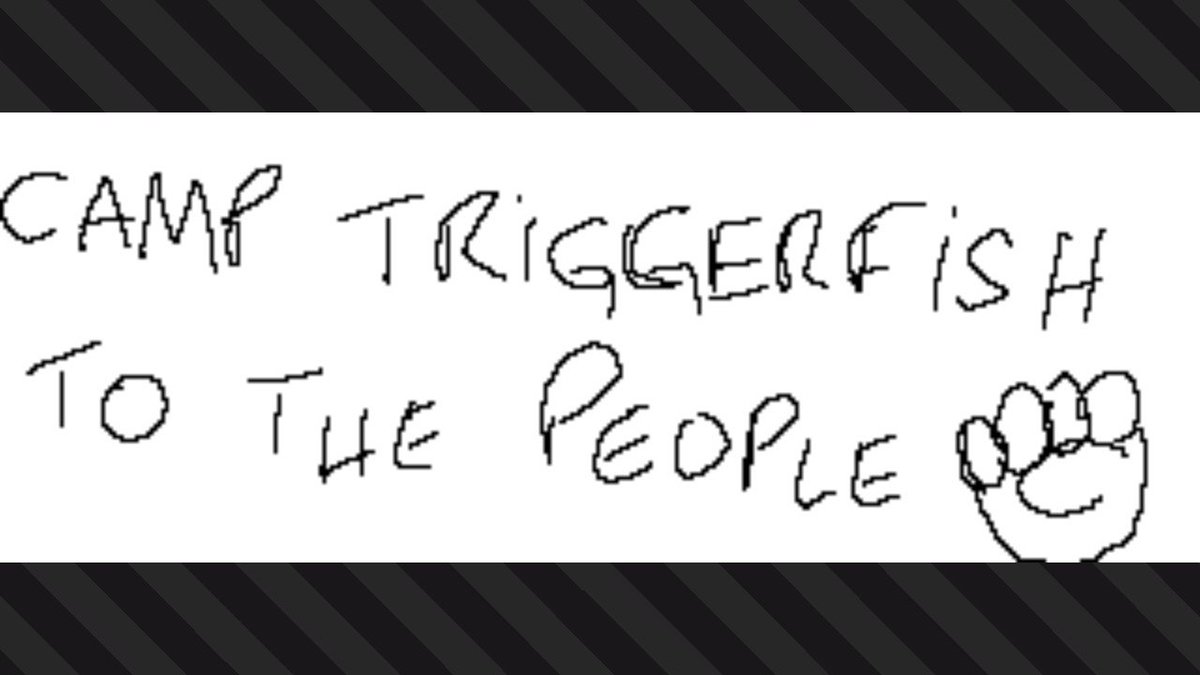 ConfuseSkull's tweet photo. #BringBackCampTriggerfish #Splatoon2 #NintendoSwitch https://t.co/UPMYPYoZP5