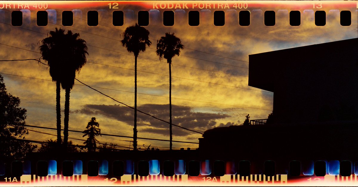 _owlbot's tweet image. Just Launched: A new subreddit for #SprocketPhotography -- reddit.com/r/SprocketShot…