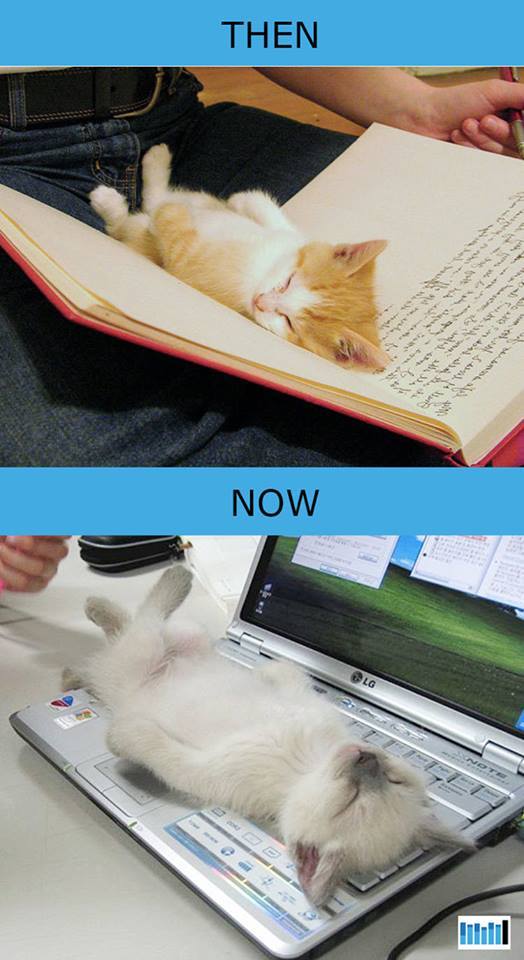 LexPanthor's tweet image. 