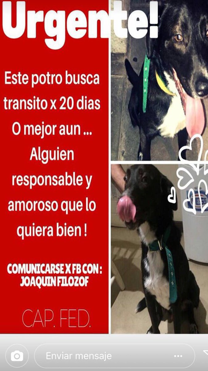 Francisco Tinelli tweet media