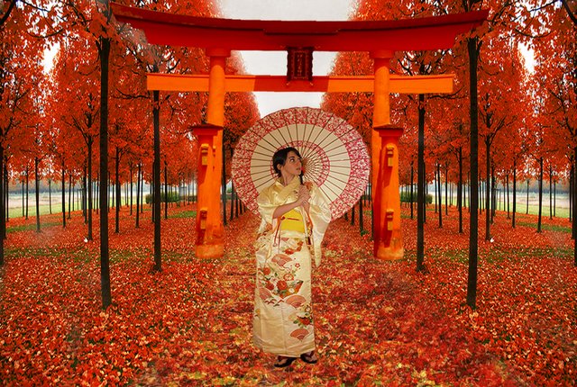 cfpedemonte's tweet photo. Japanese Woman #beautiful #symbolic #traditional #landscape https://t.co/5NsNwRZyXu