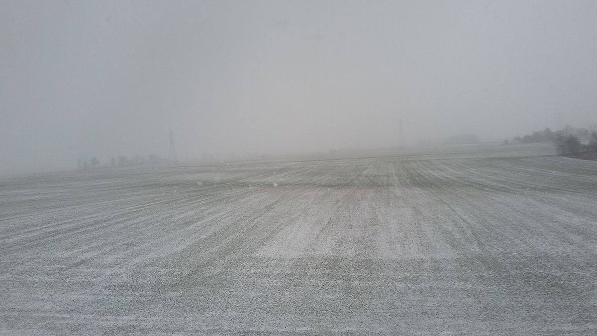 wsyx6's tweet image. ABC 6 @ 11:
-Snow causing problems with snow emergencies
-Columbus HS band headed to bowl game
-Teen still haunted by State Fair tragedy
WATCH: bit.ly/2xGtJrk