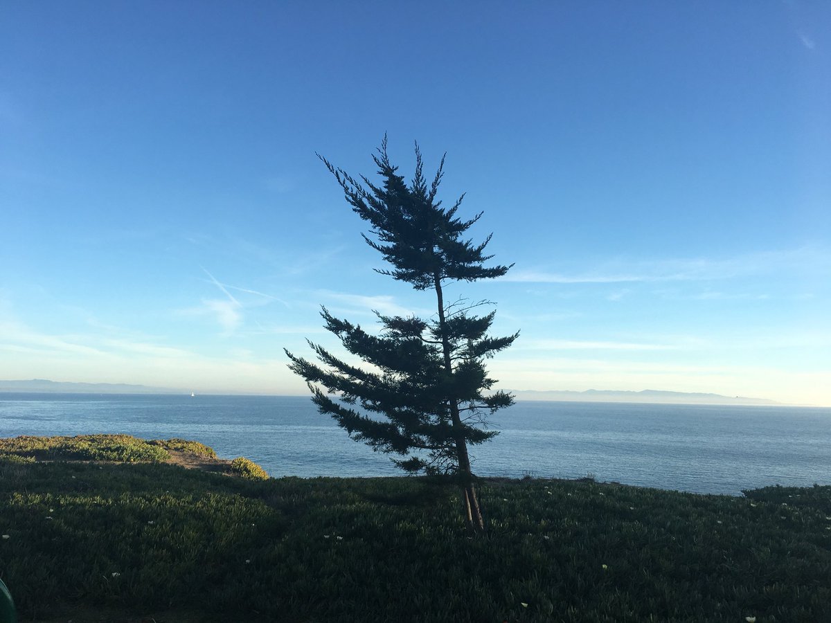 buckeyemon's tweet photo. Hello Santa Cruz!!! #californialove #winterbreak17 #NewYearsWeekend https://t.co/5XHTPzOI2A