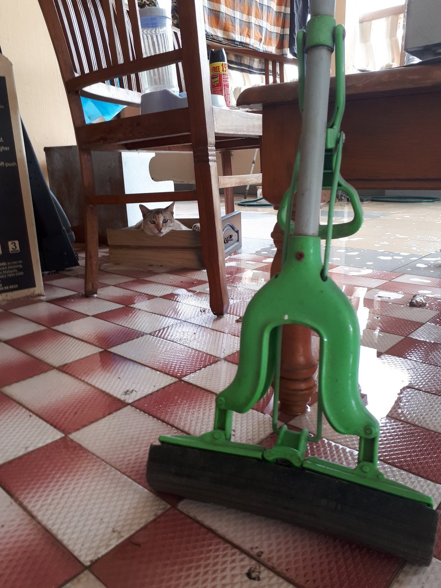 TiqHashim's tweet photo. I was cleaning the porch &amp; found my cat in a life boat https://t.co/w35F6tDn8e