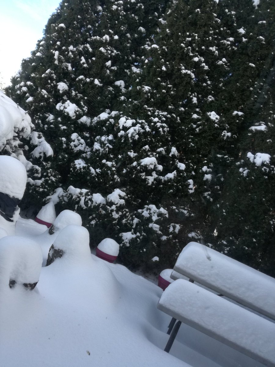 thisismiyu's tweet photo. ⛄❄ https://t.co/GirtL33h0K