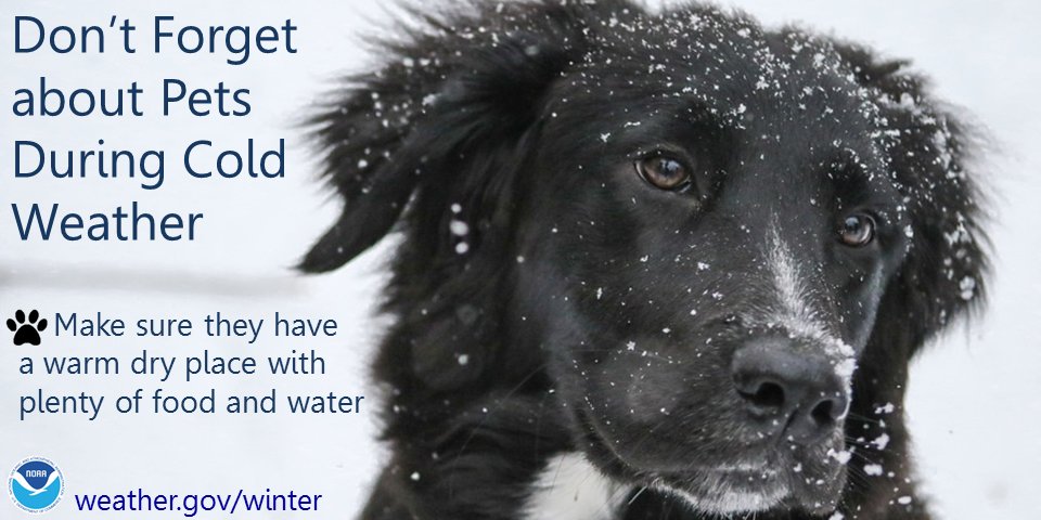 NWS Chicago tweet media