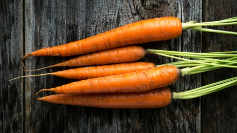 Nosh Garden Kitchen tweet media