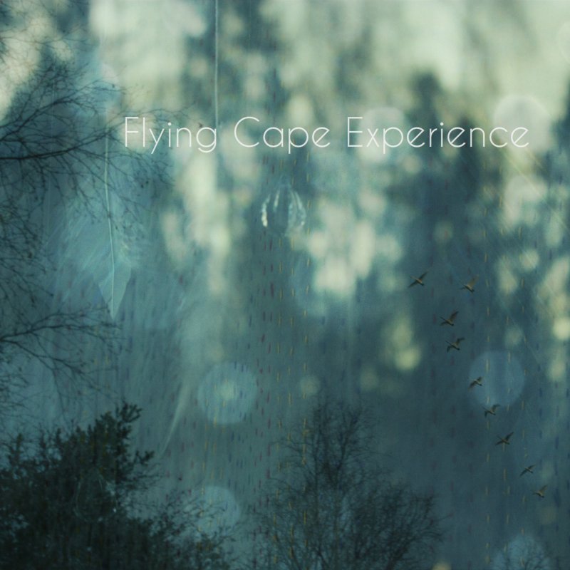 FlyingCapeExperience tweet media