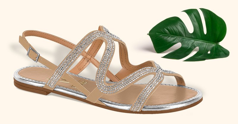 fotos de rasteirinhas 2018