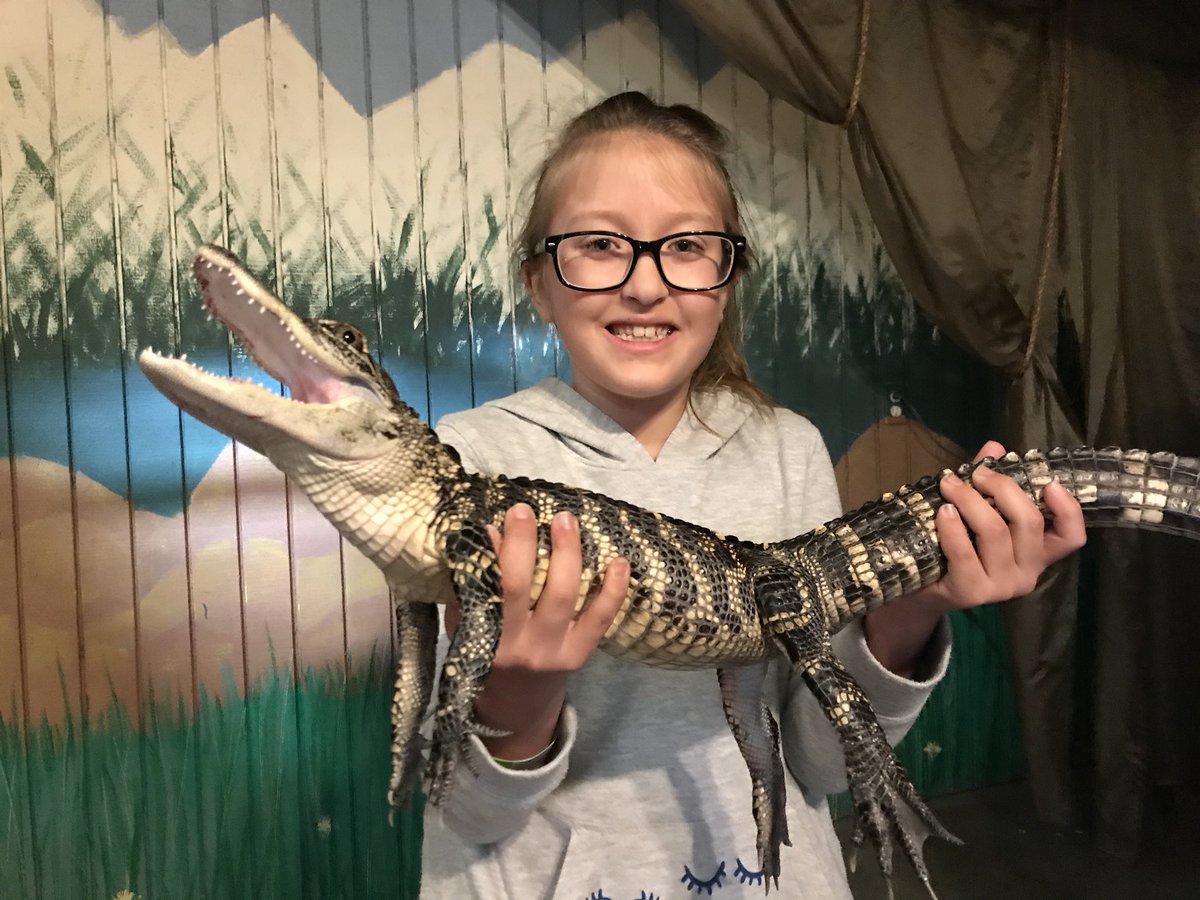 family6travels's tweet photo. Did you know thereβs an alligator farm in Colorado? π
#roadtrip #colorado #gatorfarm #alamosa π’#sanluisvalley @visitcolorado1 #familytravel #usa https://t.co/hGYa5Ocuyr