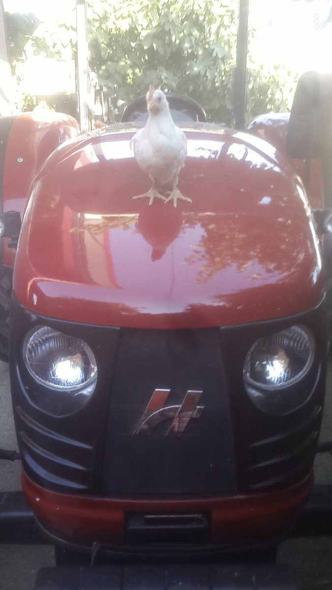 Çekiliiiiiiş Vaaaar!
Bu tweeti beğenip rt yapan bir şanslı takipcime çift çeker traktörümü ve Hüsamettin’i hediye edeceğim.Sonucu 2018’in ilk dakikalarında açıklayacağım.Bol şans herkese✨