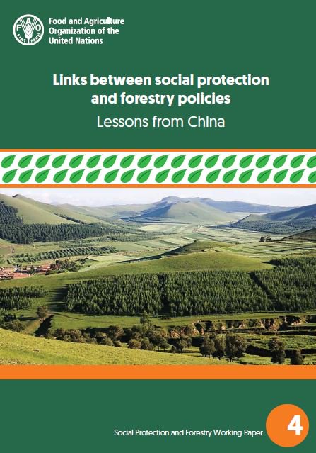 #free publication | Links between social protection and forestry policies: lessons from #China bit.ly/2zKnTWN