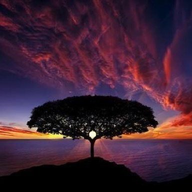 Worldpics13's tweet image. #NewProfilePic