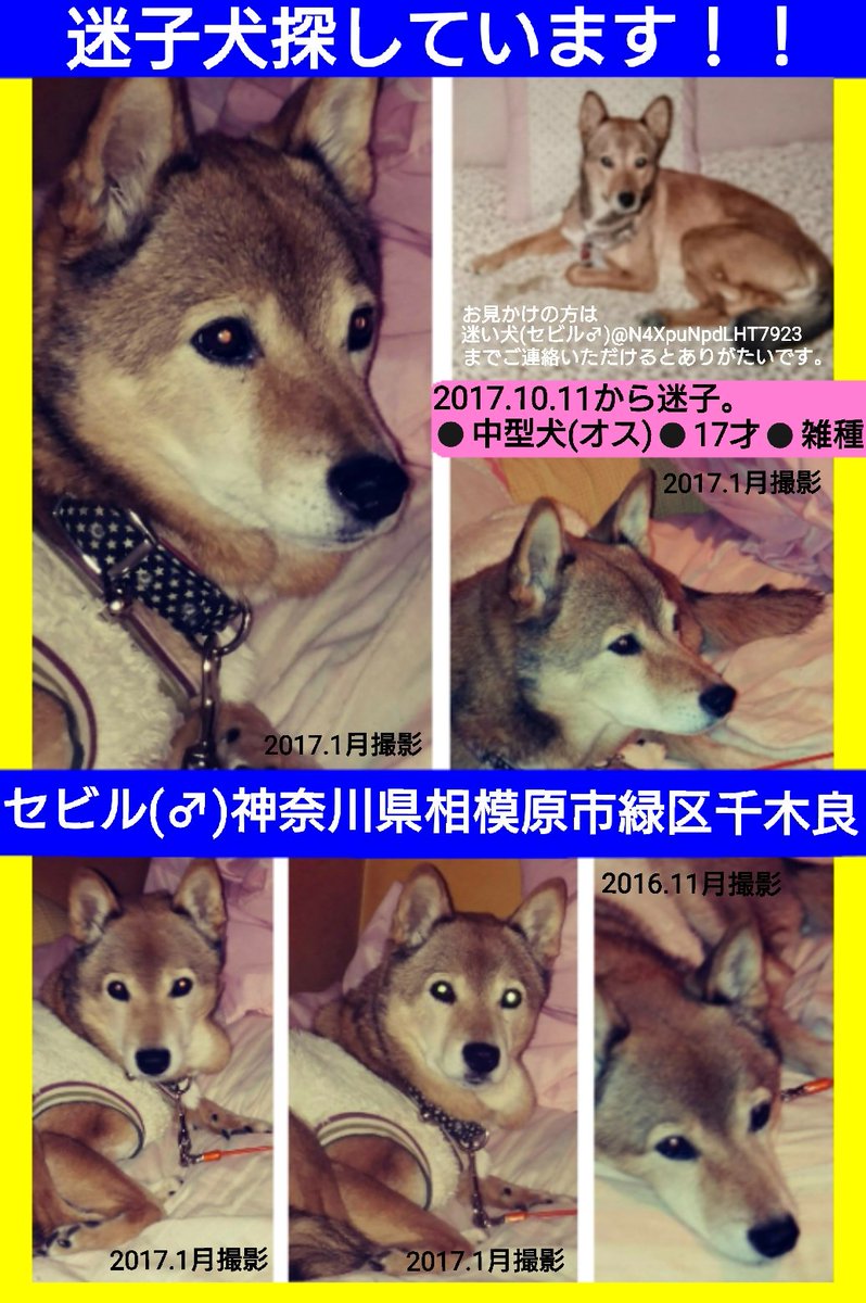 三ヶ木 Twitter Search